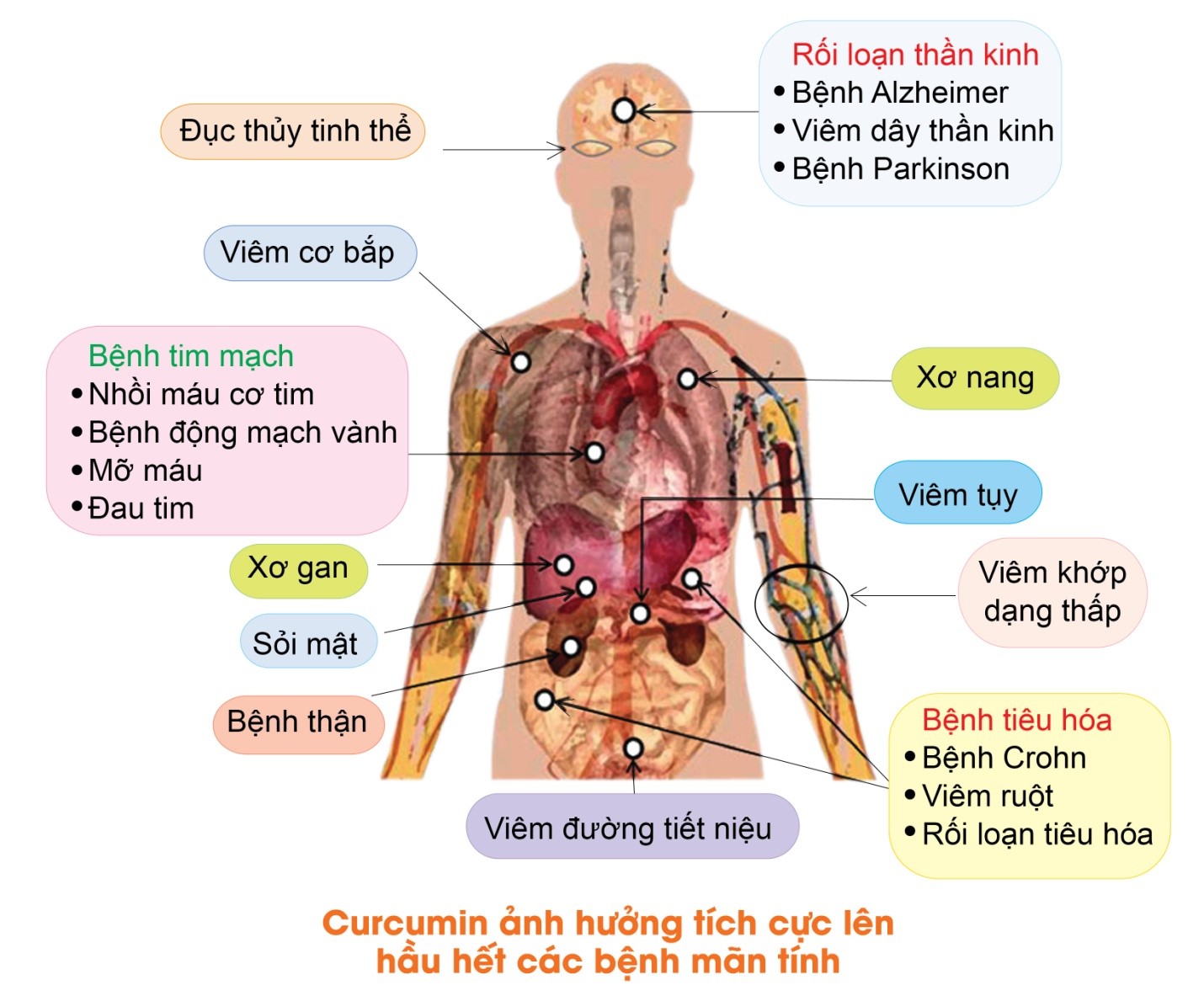 Dân Khang Pharma