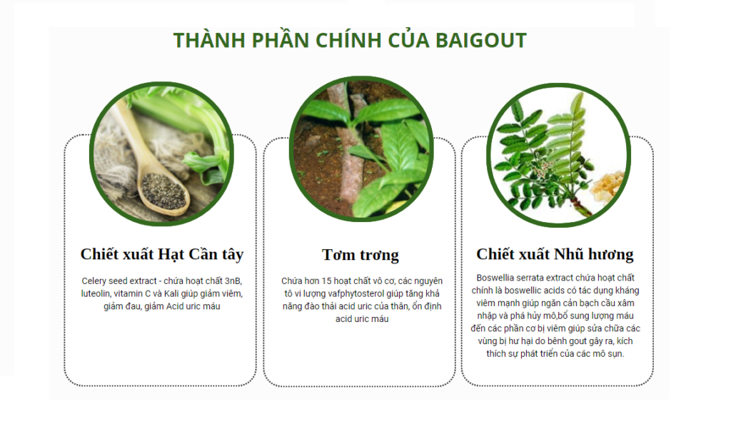 Thành phần chính của baigout