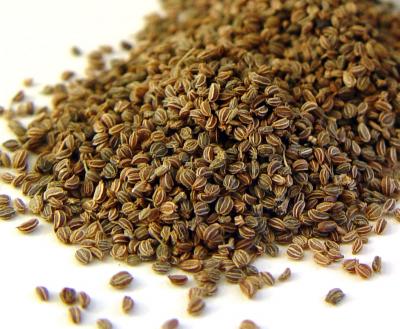 Hạt cần tây mang lai hiệu quả trị gout.