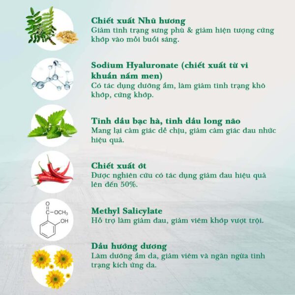 Thành phần chính có trong sản phẩm