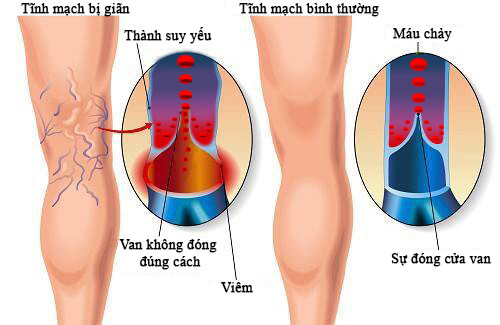 Dân Khang Pharma