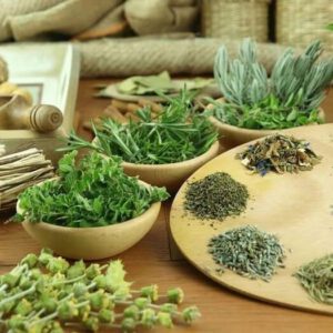 Chữa giãn tĩnh mạch chân bằng thuốc nam là phương pháp được cha ông ta áp dụng từ xa xưa