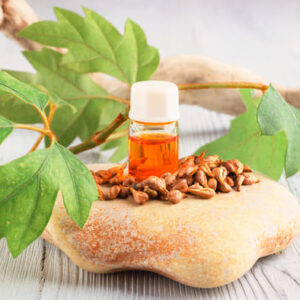 Lá nho và chiết xuất hạt nho có tác dụng tốt với người bị suy giãn tĩnh mạch