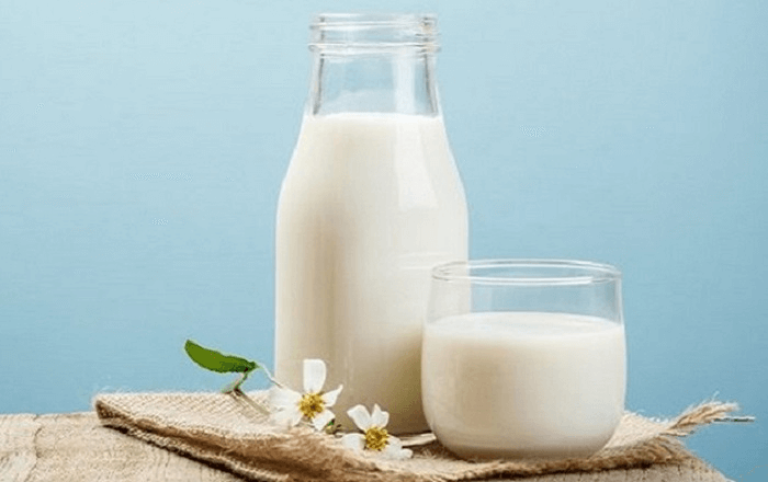 Sữa tươi phù hợp với người bị đau dạ dày