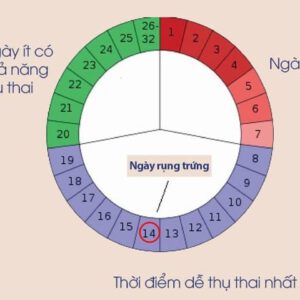 Tính toán ngày kinh có thể giúp mang thai và tránh thai hiệu quả