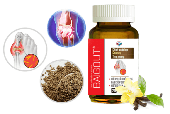 Viên uống Baigout – sự kết hợp hoàn hảo từ 3 dược liệu có công dụng mạnh nhất với bệnh gout