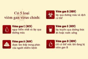 Có 5 loại viêm gan siêu vi, Việt Nam là nước có dịch tễ siêu vi viêm gan B, C