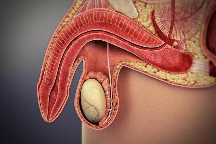 Nguy cơ tái phát lại bệnh rối loạn cương dương là có, và tỉ lệ rất cao