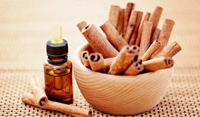 Mùi thơm nồng nàn cùng các tác dụng y học tuyệt vời mà tinh dầu quế ngày càng được ưa chuộng