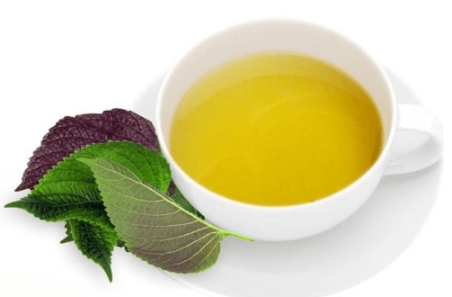 Uống nước lá tía tô giúp giảm cơn đau gout