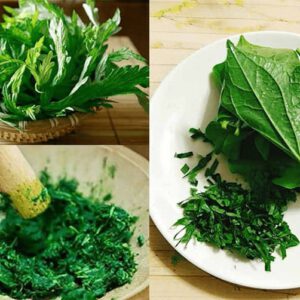 Lá lốt giã nát, phù hợp cho người bệnh đau ở nhiều vị trí