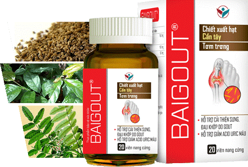 Viên uống Baigout giúp hỗ trợ giảm đau cho người bị gout và làm giảm acid uric hiệu quả