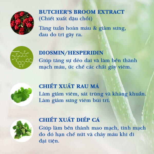 Thành phần có trong sản phẩm