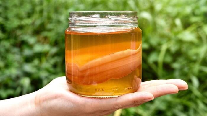 Kombucha là một loại trà lên men giúp tốt cho hệ tiêu háo của bạn