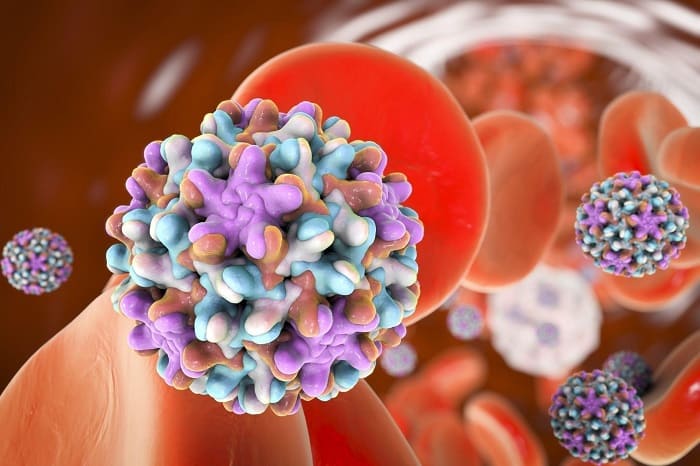 Virus viêm gan B có thể gây bệnh cấp tính hoặc mạn tính