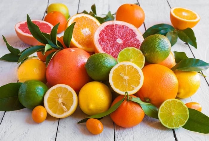 Các loại trái cây thuộc họ Citrus