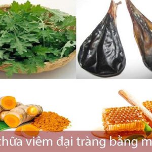 Cách chữa viêm đại tràng bằng mật lợn tại nhà hiệu quả
