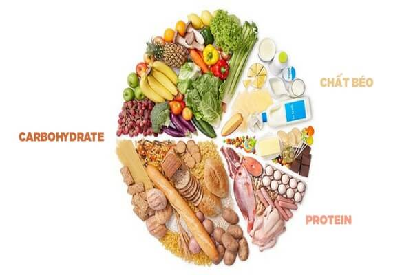 Cần cân đối tỉ lệ thành phần trong bữa ăn của bạn