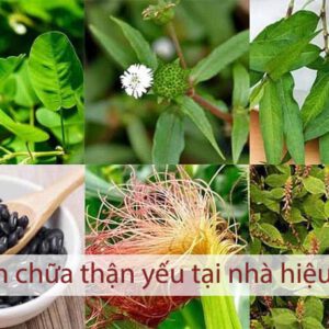 Các cách chữa thận yếu tại nhà hiệu quả