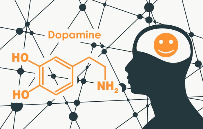 Lá tía tô giúp tăng Dopamine chống trầm cảm và tốt cho não