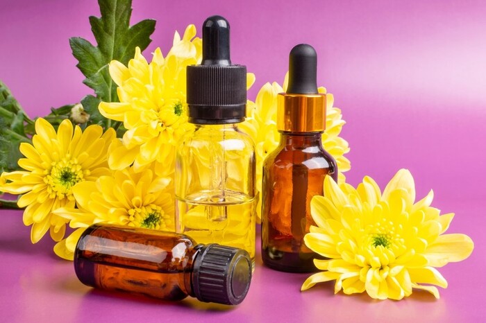 Tinh dầu hoa cúc giúp giảm đau gout