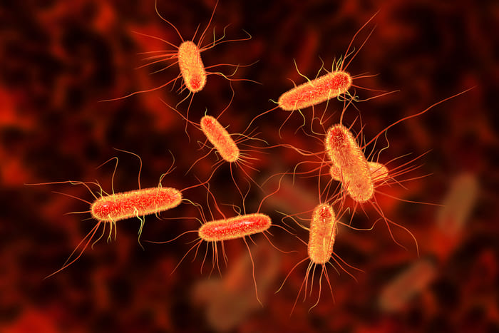 E.coli gây ra các vấn đề dẫn đến suy thận ở trẻ em