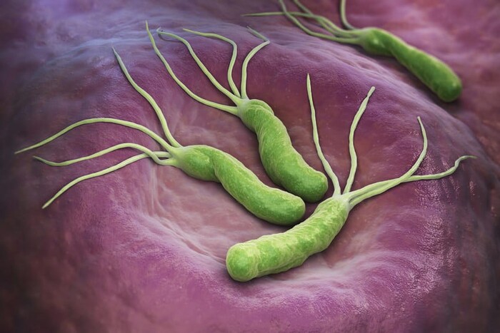 Vi khuẩn Helicobacter pylori